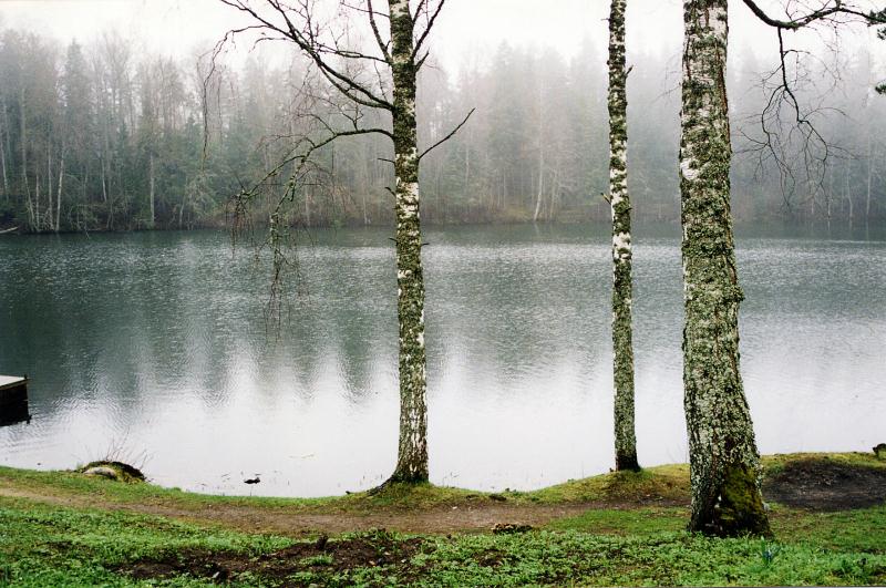 File:Harjumaa_Nelijärve_Purgatsi järv.jpg